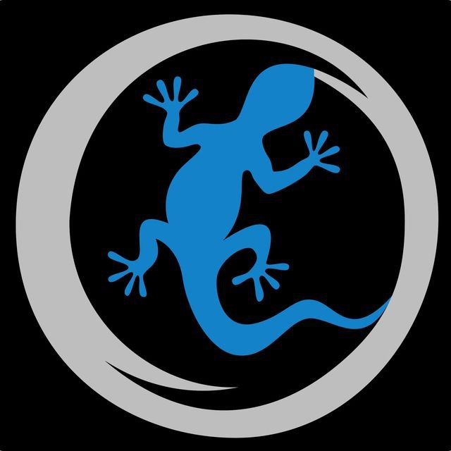 Logo Salamandra Devs